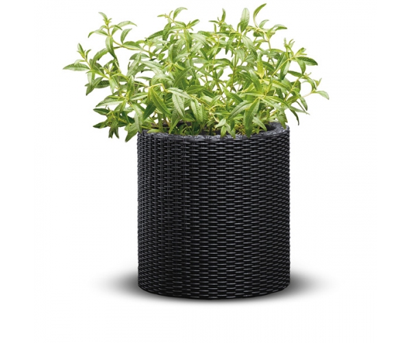 Ghiveci L CYLINDER PLANTER